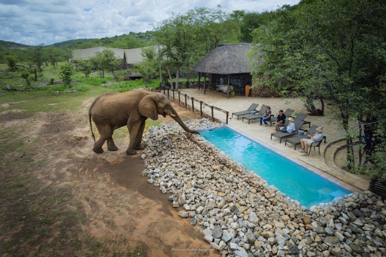 Ongava Tented Camp Okaukuejo Exteriör bild