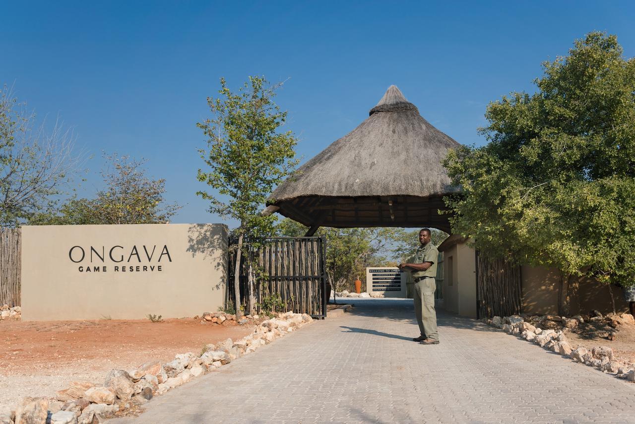 Ongava Tented Camp Okaukuejo Exteriör bild