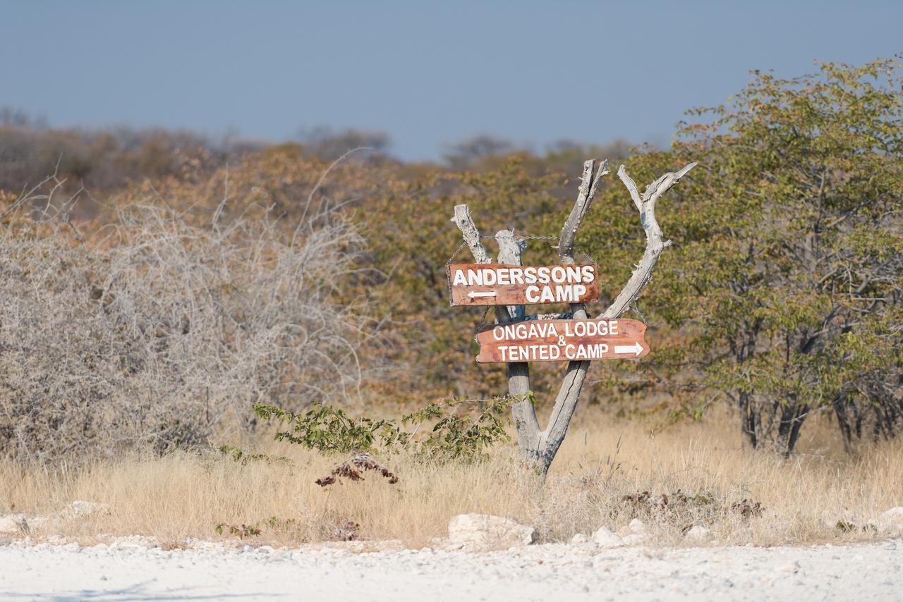 Ongava Tented Camp Okaukuejo Exteriör bild